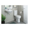 Picture of <3 Fern 450x400mm 1TH Cloakroom Basin & Brushed Brass Bottle Trap