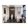 Picture of <3 Iris Close Coupled Open Back Comfort Height WC & Soft Close Seat