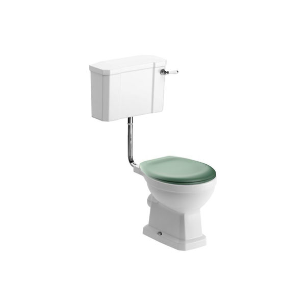 Picture of <3 Cactus Low Level WC & Sage Green Soft Close Seat