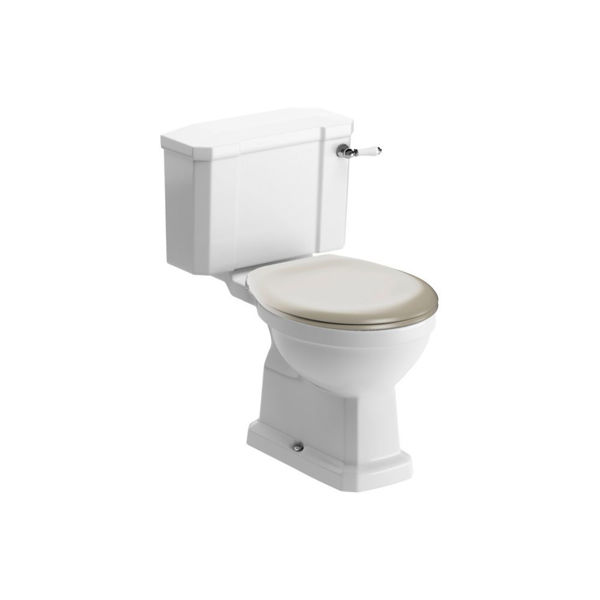 Picture of <3 Cactus Close Coupled WC & Matt Latte Soft Close Seat