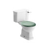 Picture of <3 Cactus Close Coupled WC & Sage Green Soft Close Seat