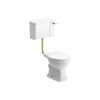 Picture of <3 Cactus Low Level WC w/Brushed Brass Finish & Soft Close Seat