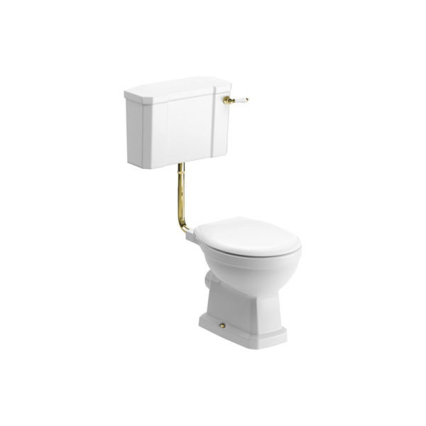 Picture of <3 Cactus Low Level WC w/Brushed Brass Finish & Soft Close Seat