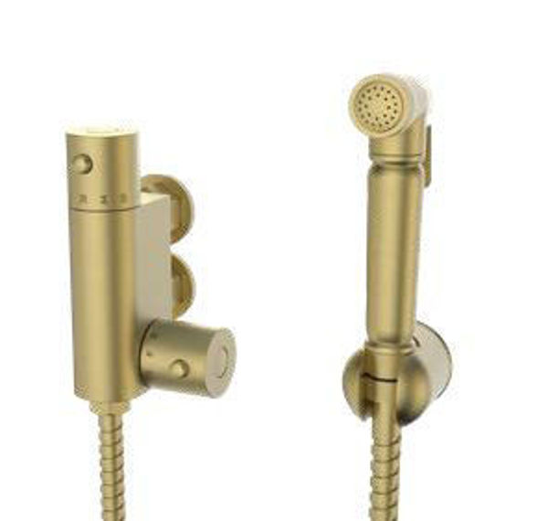 Picture of CSK Douche Kit with Therm. Mixing Valve and Brass Spray Head Brushed Brass